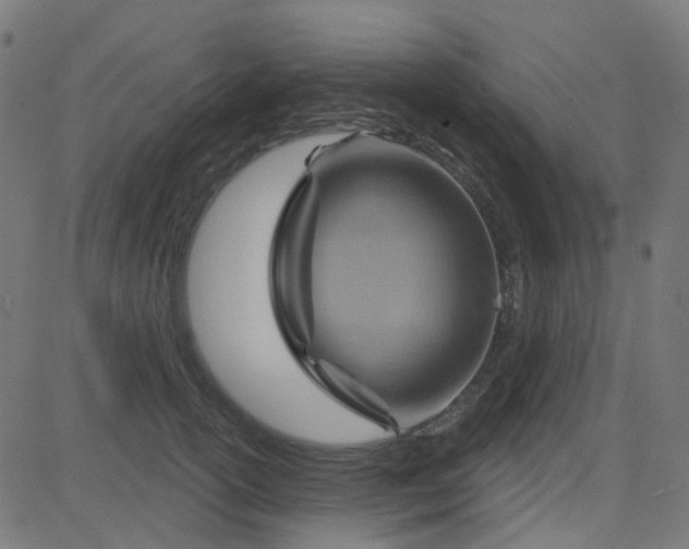 X0000084600754200703091928