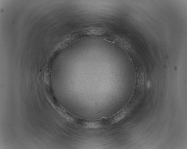 X0000084600755200703091928