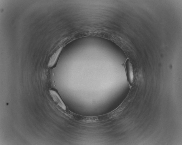 X0000084600756200703091928