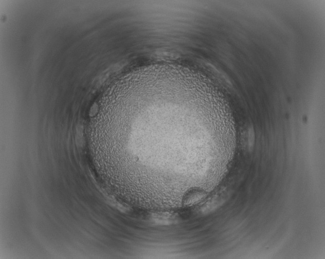 X0000084600757200703091928