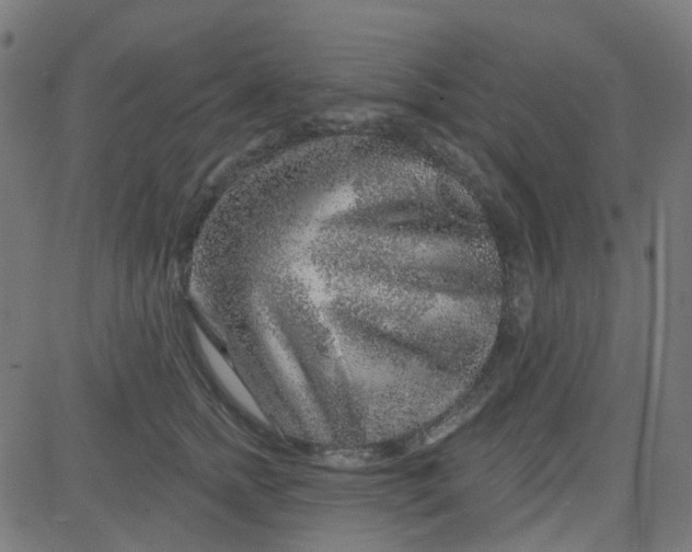 X0000084600758200703091928