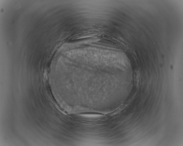 X0000084600760200703091928