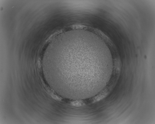 X0000084600761200703091928