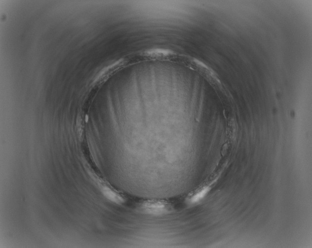 X0000084600762200703091928