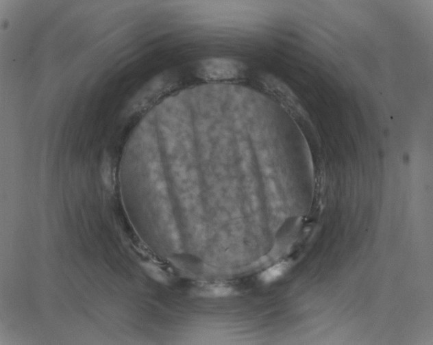 X0000084600763200703091929