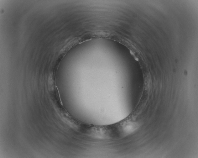 X0000084600764200703091929