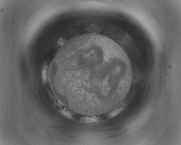 X0000084600765200703091929