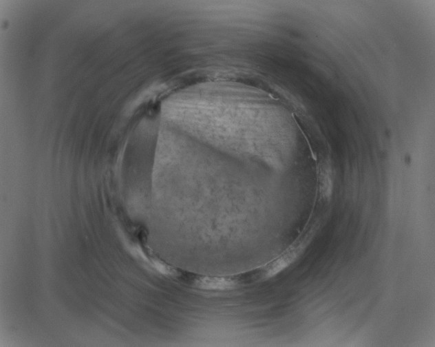 X0000084600766200703091929