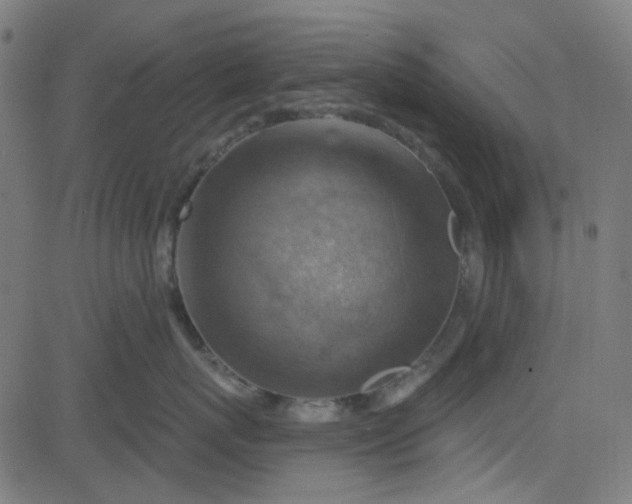 X0000084600767200703091929