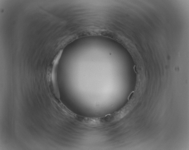 X0000084600768200703091929