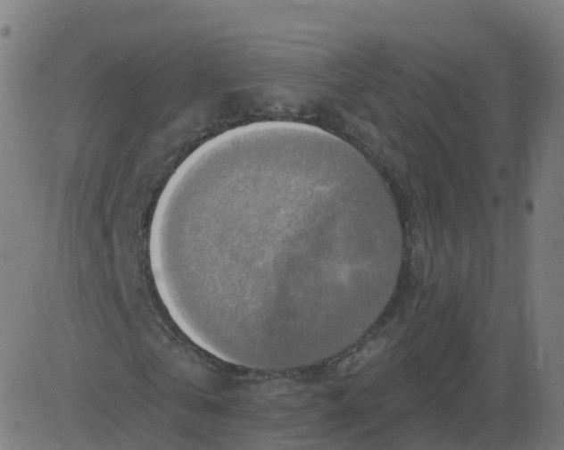 X0000084600769200703091928