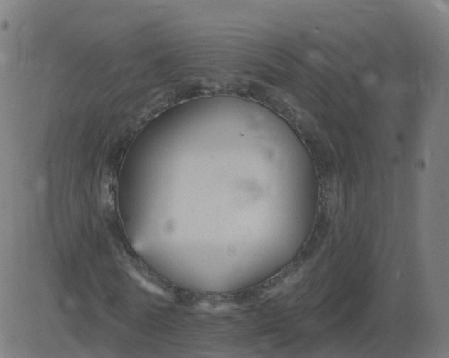 X0000084600770200703091928