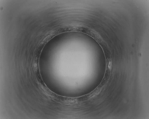 X0000084600771200703091928