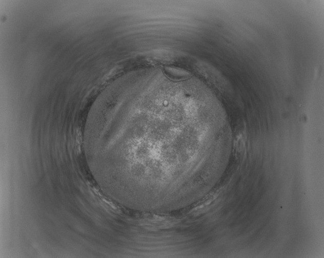 X0000084600772200703091928