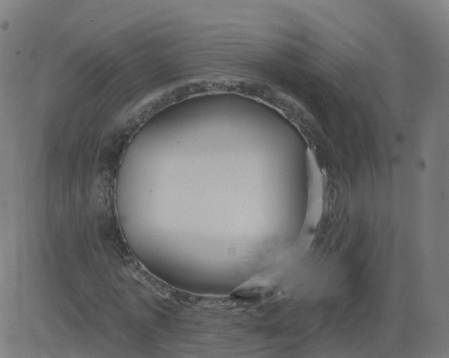 X0000084600773200703091928