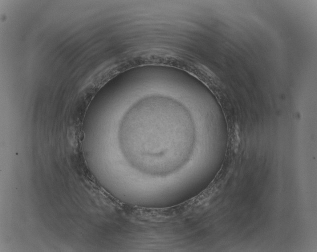 X0000084600774200703091928