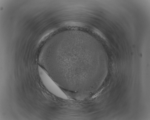 X0000084600775200703091928