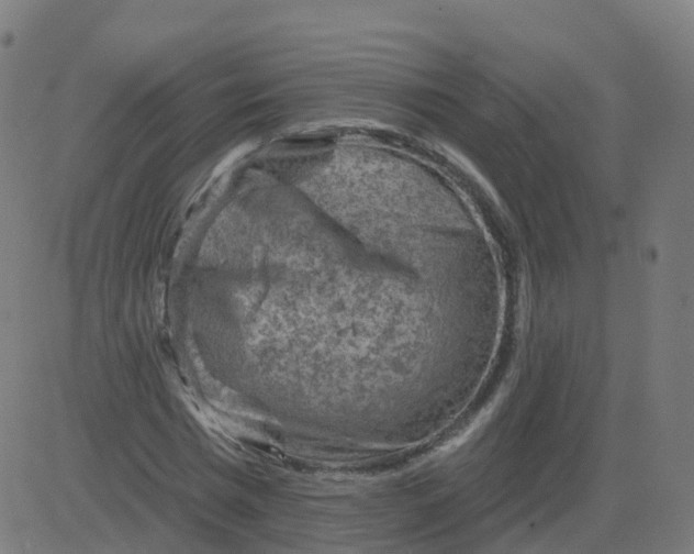 X0000084600777200703091928