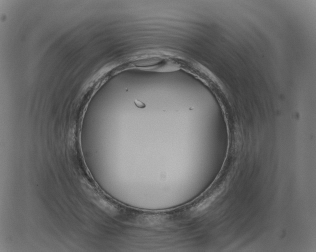 X0000084600778200703091928