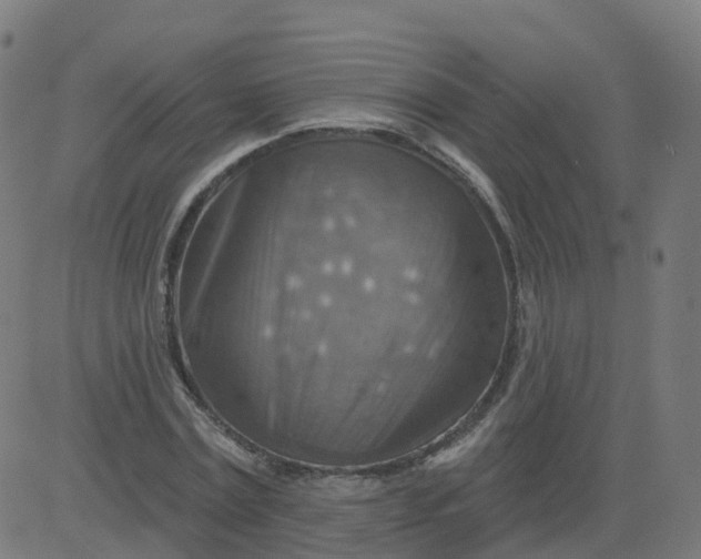 X0000084600779200703091928