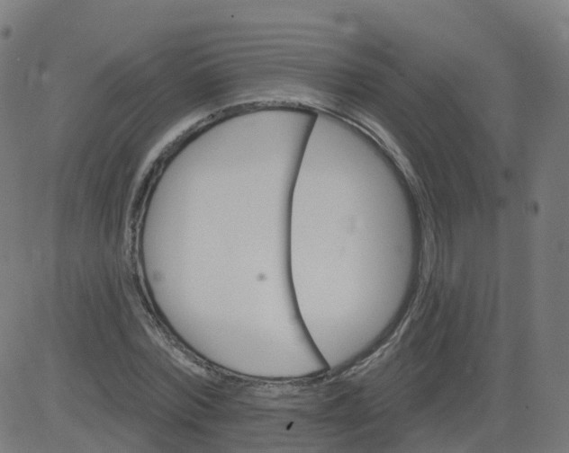 X0000084600780200703091928