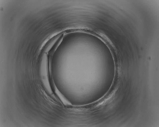 X0000084600781200703091928