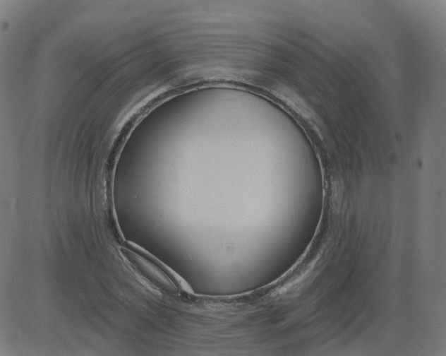 X0000084600782200703091928