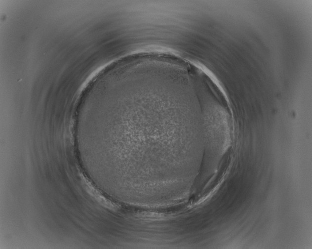 X0000084600783200703091928