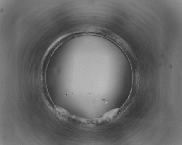 X0000084600784200703091928