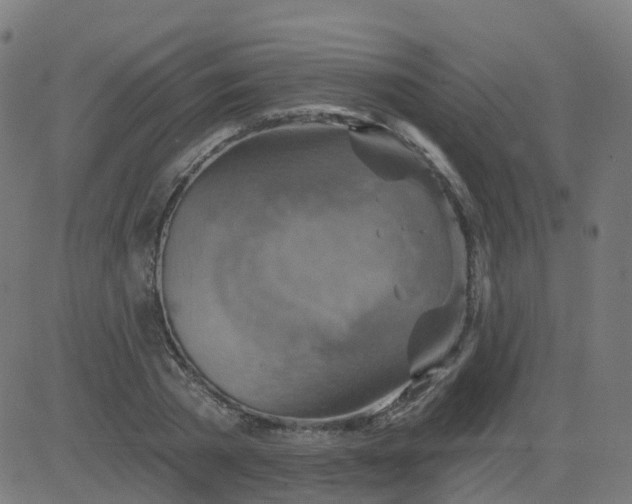 X0000084600785200703091928