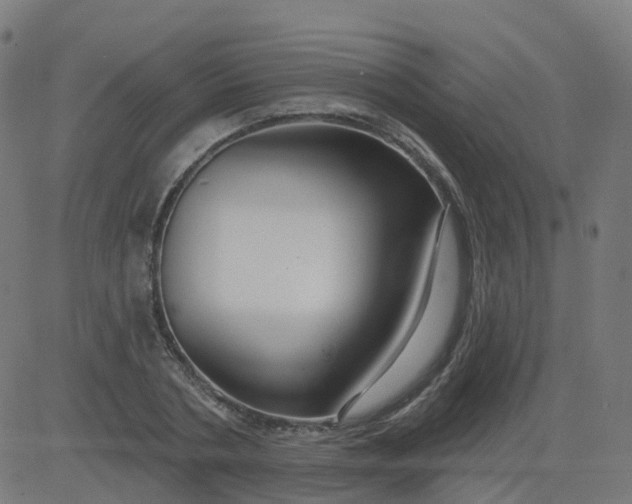 X0000084600786200703091928