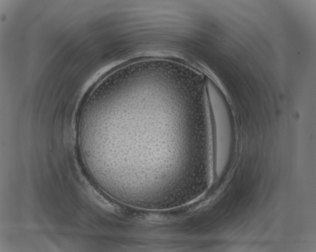 X0000084600787200703091927