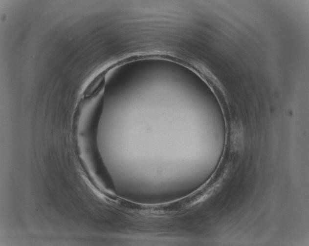 X0000084600789200703091927