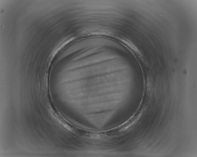 X0000084600790200703091927