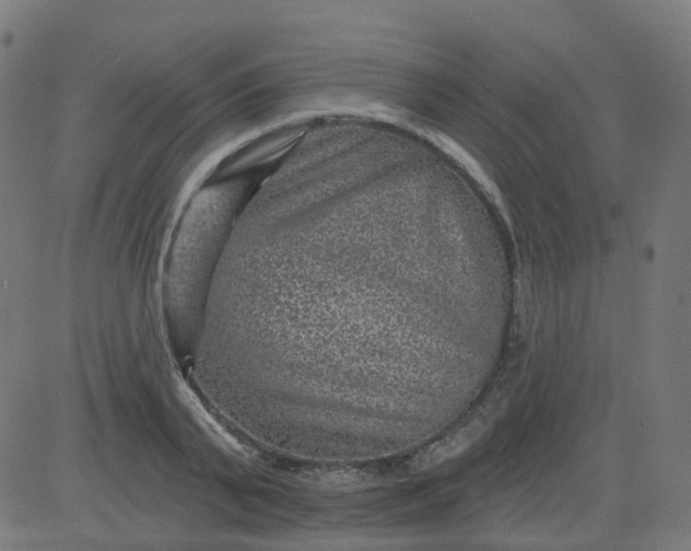 X0000084600791200703091927