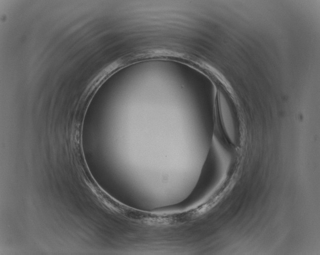 X0000084600793200703091927