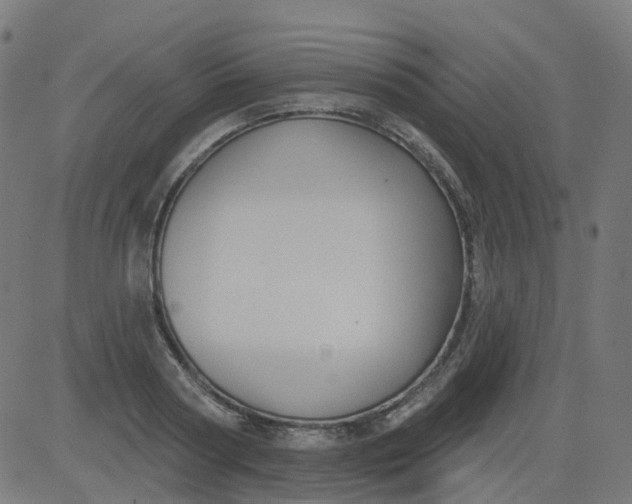 X0000084600794200703091927