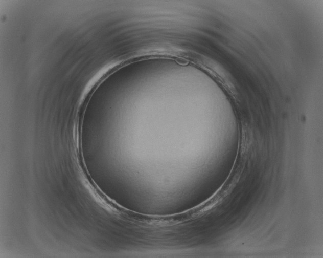 X0000084600796200703091927