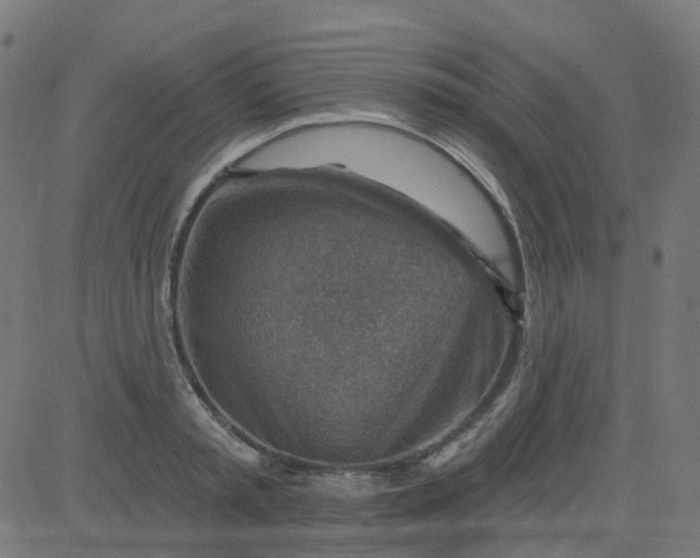 X0000084600797200703091927