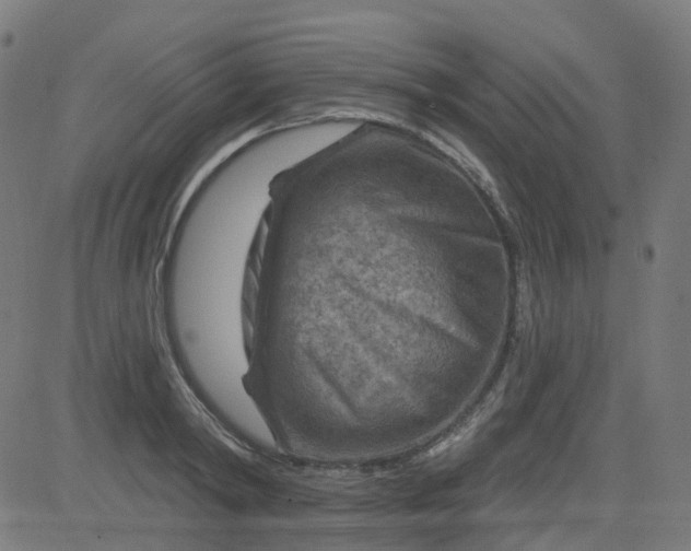 X0000084600798200703091927