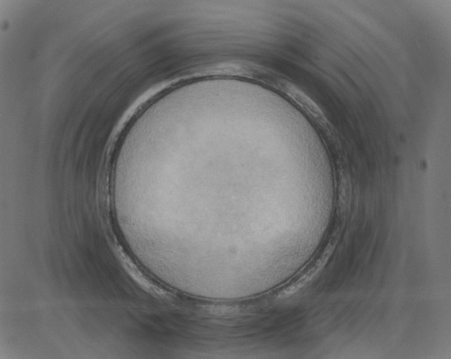 X0000084600800200703091927