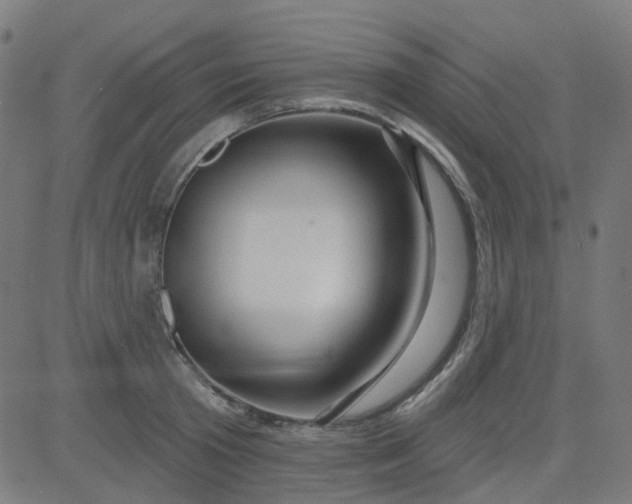 X0000084600801200703091927