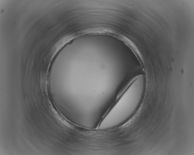 X0000084600802200703091927