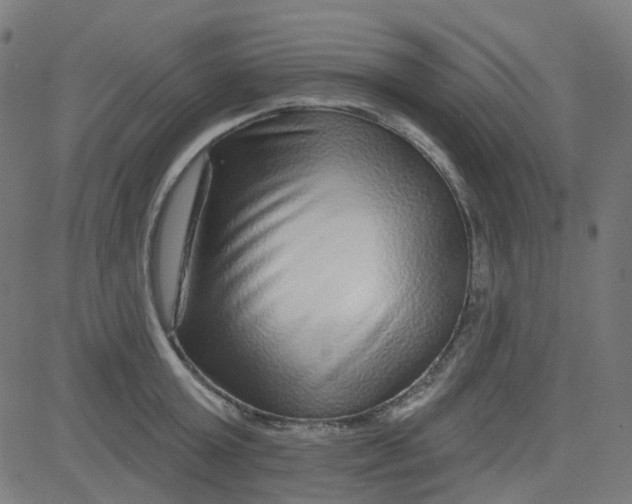 X0000084600803200703091927