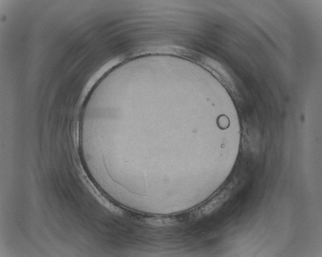 X0000084600804200703091927