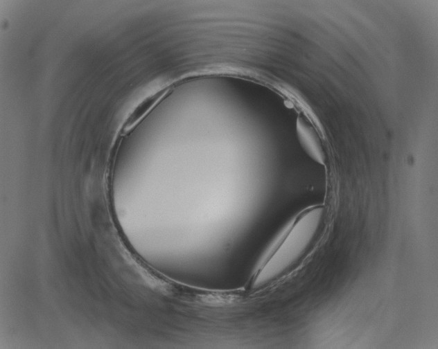 X0000084600805200703091927