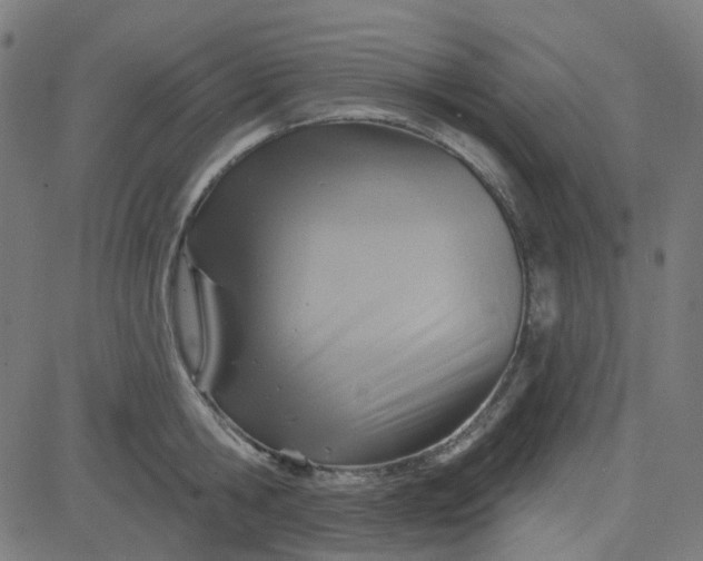 X0000084600806200703091927