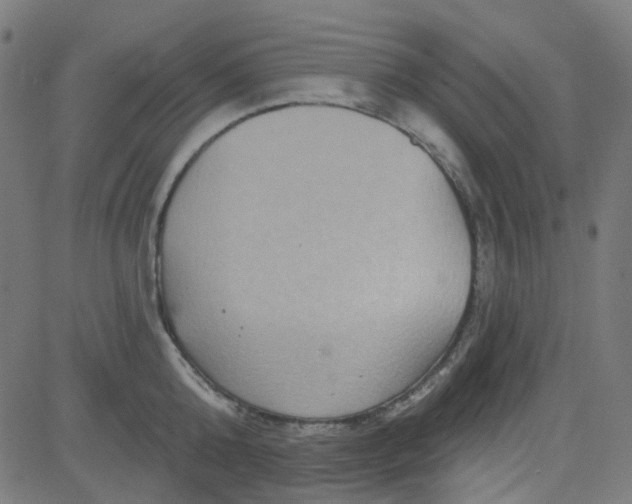 X0000084600808200703091927