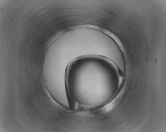 X0000084600809200703091927