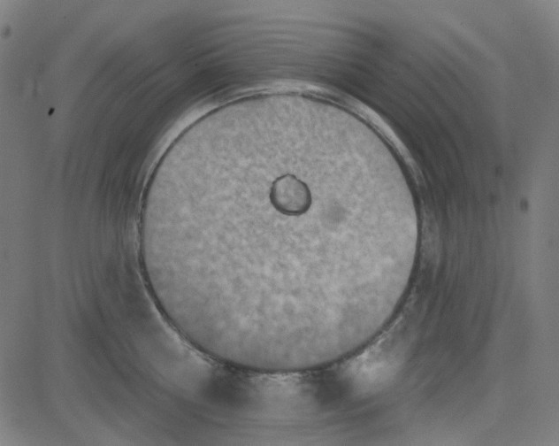 X0000084600810200703091927